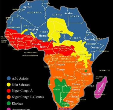 Rodziny językowe używane w Afryce