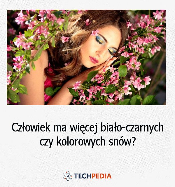 Człowiek ma więcej biało-czarnych czy kolorowych snów?