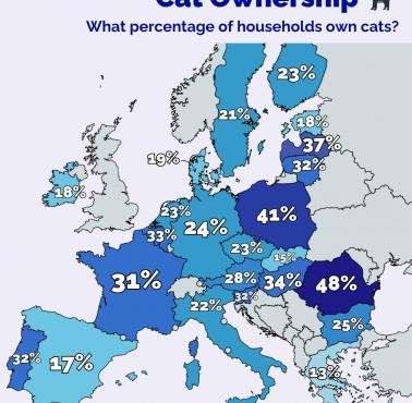 Popularność kotów w Europie. Odsetek gospodarstw domowych posiadających kota, 2023