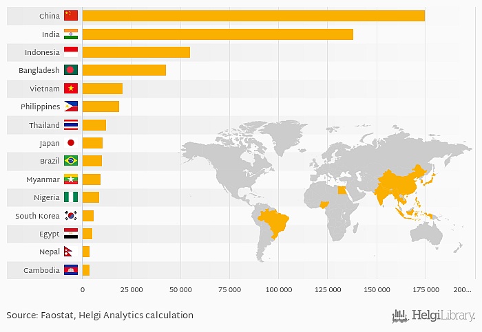 Top15 największych rynków ryżu (konsumentów) na świecie (kt), 2017 r.