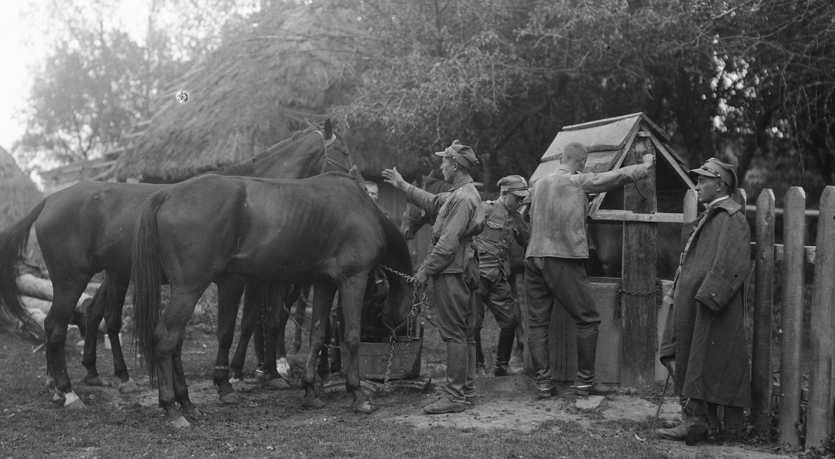 1927. Manewry terenowe