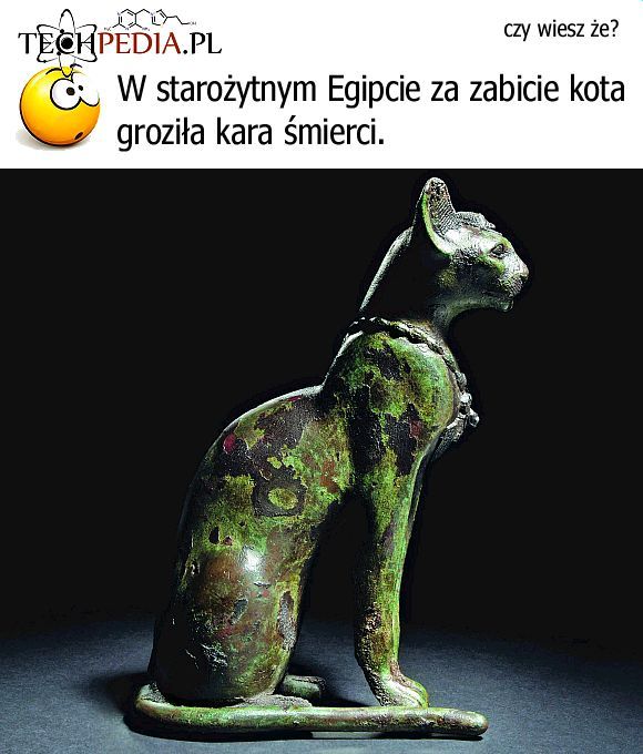 Koty w starożytnym Egipcie