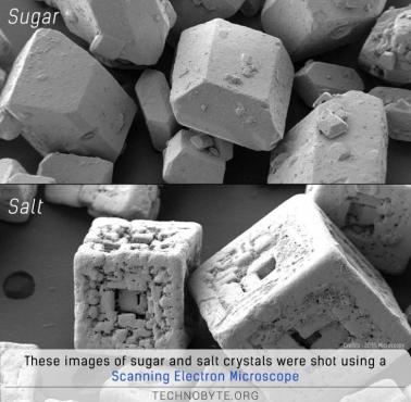 Cukier i sól pod mikroskopem elektronowym