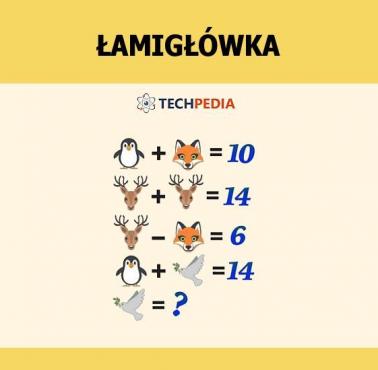 Jakie jest rozwiązanie łamigłówki?