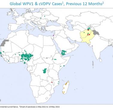 Obecność wirusa Polio na świecie w 2022 roku, WHO