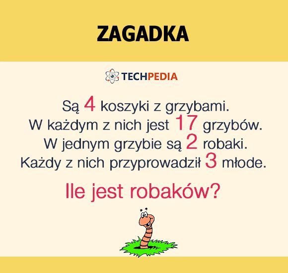 Jakie jest rozwiązanie zagadki?