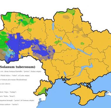 Słowo "ziemniak" na Ukrainie