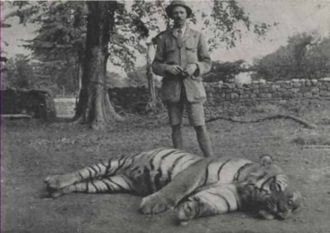 Myśliwy Jim Corbett stoi obok ciała tygrysa bengalskiego, któremu przypisuje się śmierć 430 ludzi, Indie, 1907