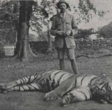 Myśliwy Jim Corbett stoi obok ciała tygrysa bengalskiego, któremu przypisuje się śmierć 430 ludzi, Indie, 1907