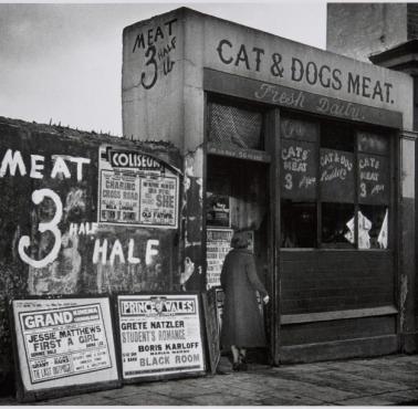 Sklep z mięsem z psów i kotów, Londyn, 1935