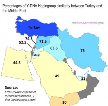 Odsetek podobieństw haplogrupy Y-DNA między Turcją a innymi krajami Bliskiego Wschodu