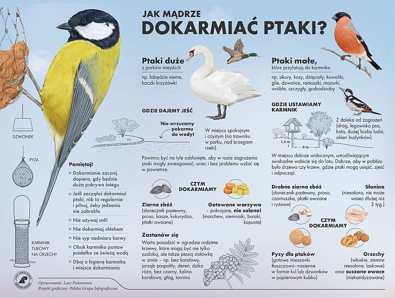 Jak mądrze dokarmiać ptaki?