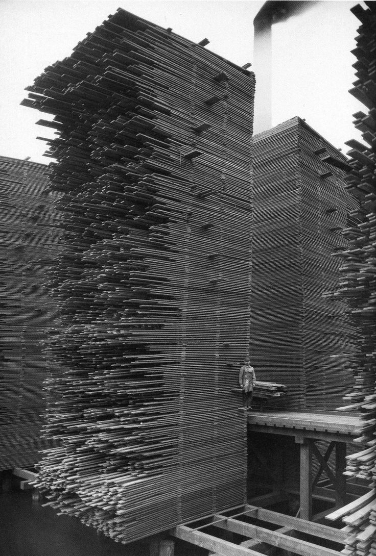 Stosy drewna w składzie Seattle Cedar Manufacturing Plant, Ballard, 1958