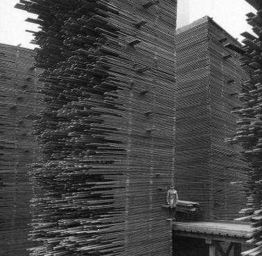 Stosy drewna w składzie Seattle Cedar Manufacturing Plant, Ballard, 1958