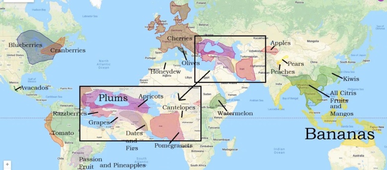 Ciekawa mapa pokazująca regiony, z których pochodzą owoce
