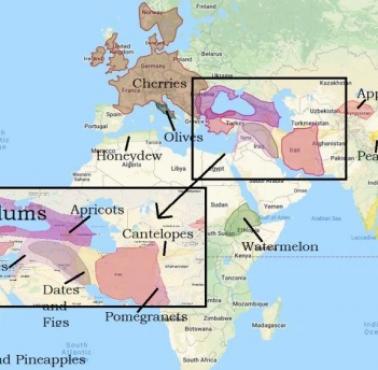 Ciekawa mapa pokazująca regiony, z których pochodzą owoce