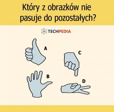 Który z obrazków nie pasuje do pozostałych?