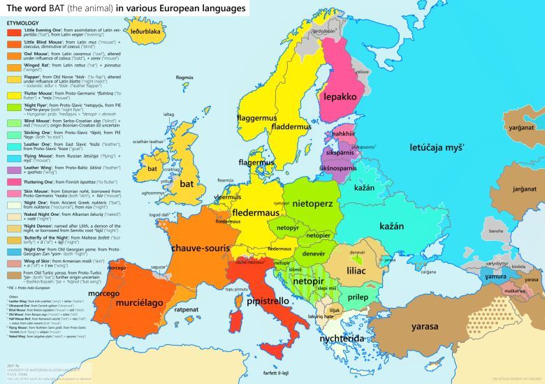 Słowo nietoperz w różnych europejskich językach