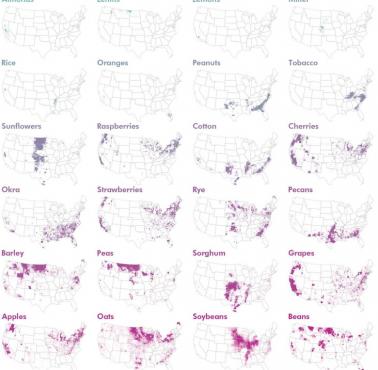 Mapa różnych upraw w USA w latach 2000-2021