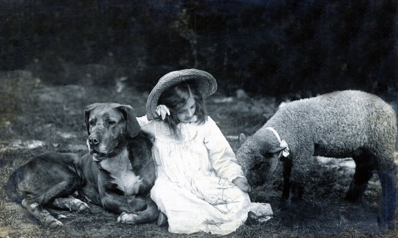 Widoczek, 1900