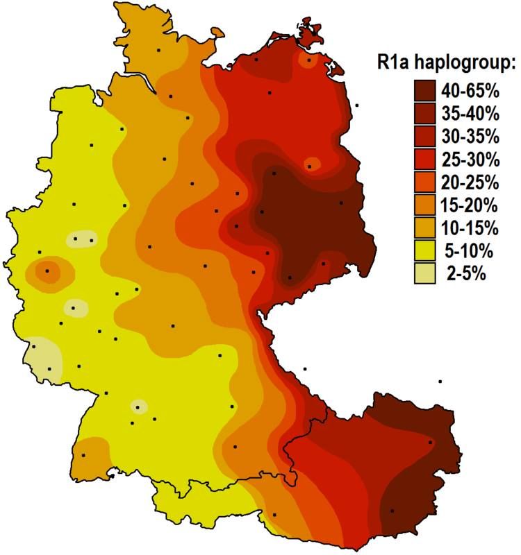 Występowanie dominującej u Słowian haplogrupy R1a1 (Y-DNA) w Niemczech