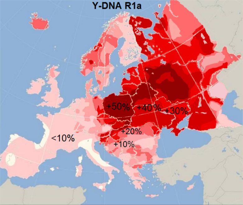Występowanie dominującej u Słowian haplogrupy R1a1 (Y-DNA)