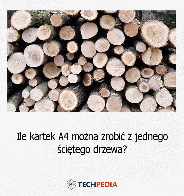 Ile kartek A4 można zrobić z jednego ściętego drzewa?