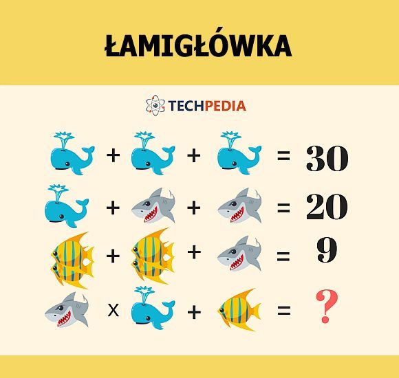 Jakie jest rozwiązanie łamigłówki?