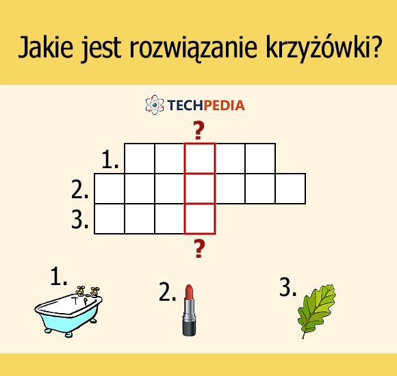 Jakie jest rozwiązanie krzyżówki?