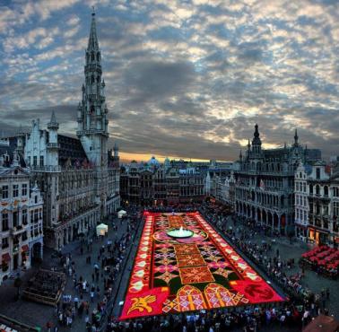 Największy dywan kwiatowy, Bruksela, Belgia