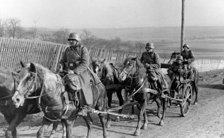 Członkowie i wolontariusze Waffen-SS wg liczb i pochodzenia