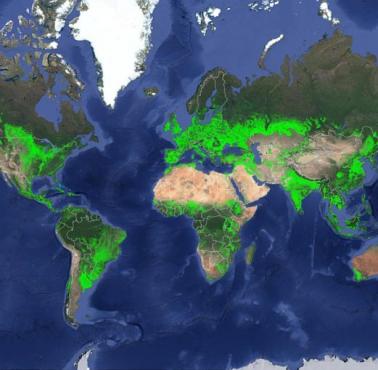 Główne obszary rolnicze na świecie (na żółto)