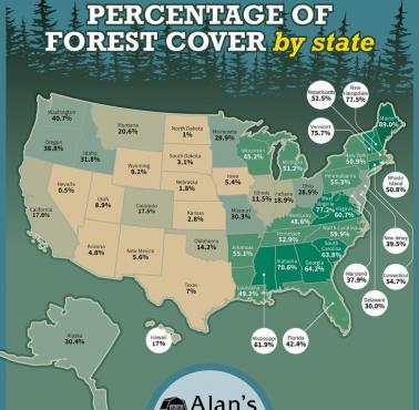 Procent lasów w poszczególnych amerykańskich stanach