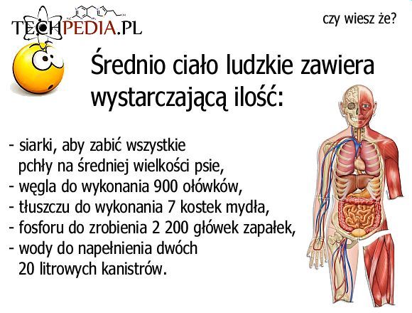 Ludzkie ciało