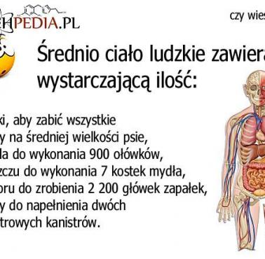 Ludzkie ciało