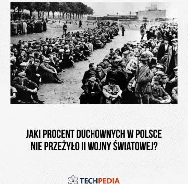 Jaki procent duchownych w Polsce nie przeżyło II wojny światowej?