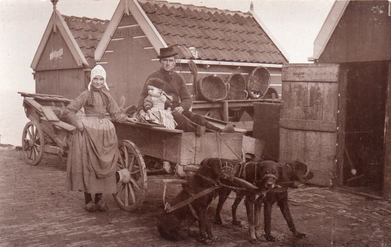 Holenderski zaprzęg z psami, Volendam, Holandia, 1890 