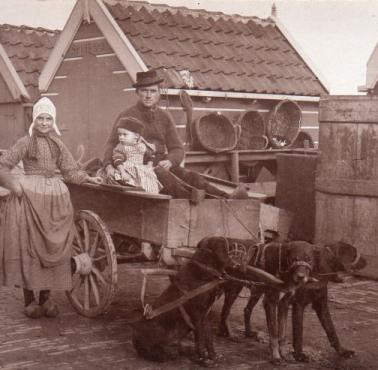 Holenderski zaprzęg z psami, Volendam, Holandia, 1890 