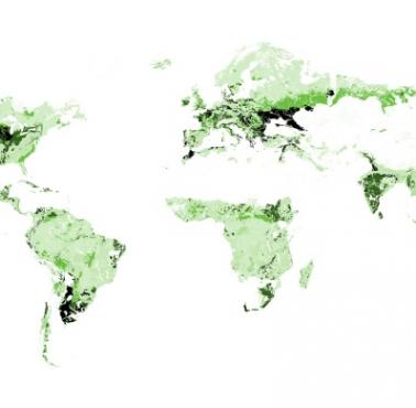 Jakość gruntów na świecie