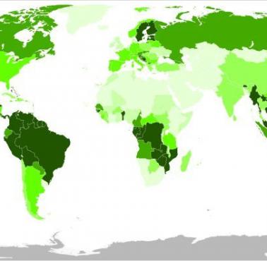 Lasy jako procent powierzchni gruntów w poszczególnych państwach świata