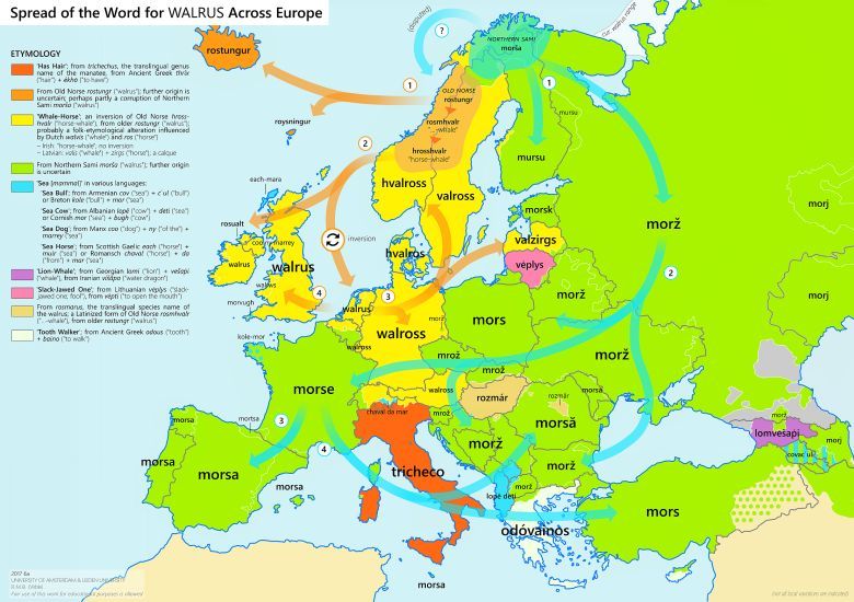 Rozprzestrzenianie się słowa mors w Europie