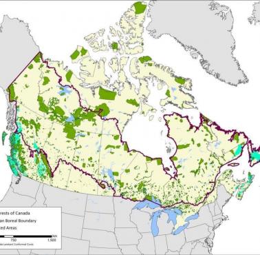 Zasięg tajgi (borealne lasy iglaste) w Kanadzie