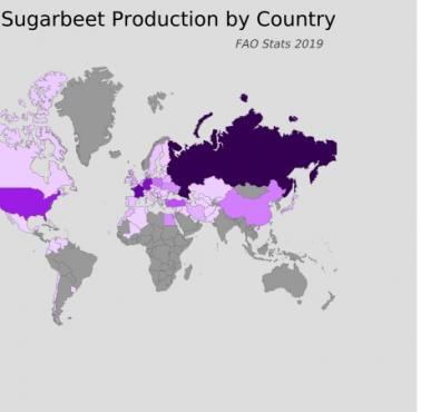 Światowa produkcja buraków cukrowych według krajów, 2019