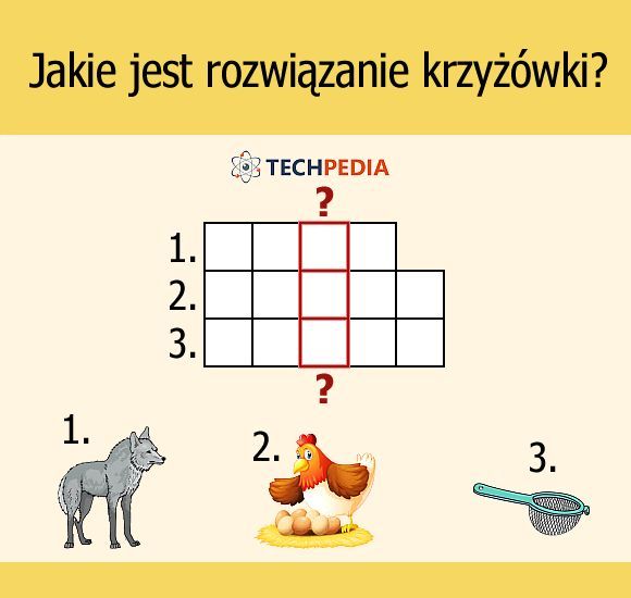 Jakie jest rozwiązanie krzyżówki?