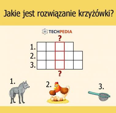 Jakie jest rozwiązanie krzyżówki?