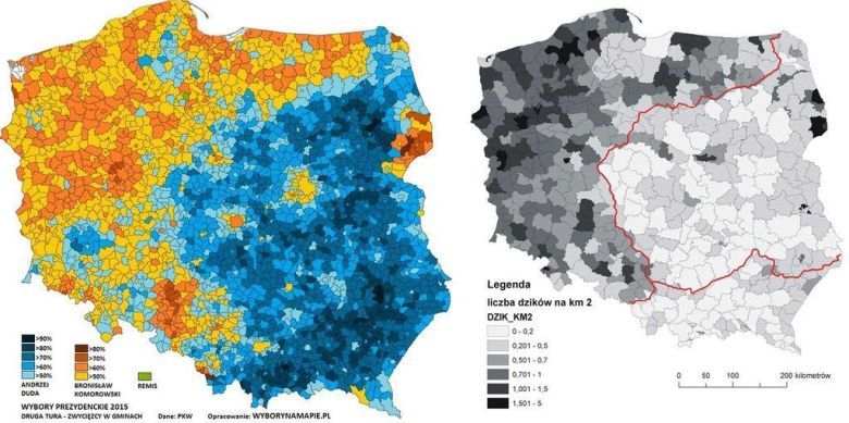 Preferencje w wyborach prezydenckich w Polsce w 2015 roku a występowanie dzików