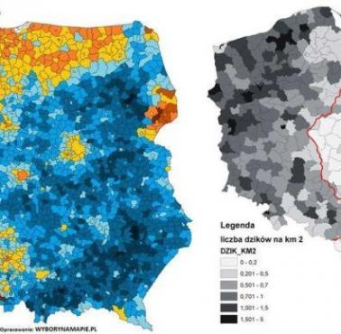 Preferencje w wyborach prezydenckich w Polsce w 2015 roku a występowanie dzików