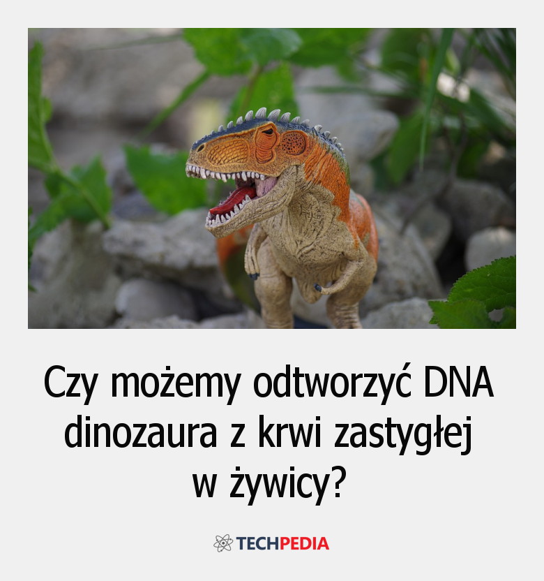 Czy możemy odtworzyć DNA dinozaura z krwi zastygłej w żywicy?
