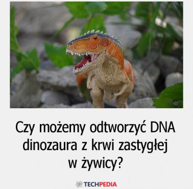 Czy możemy odtworzyć DNA dinozaura z krwi zastygłej w żywicy?