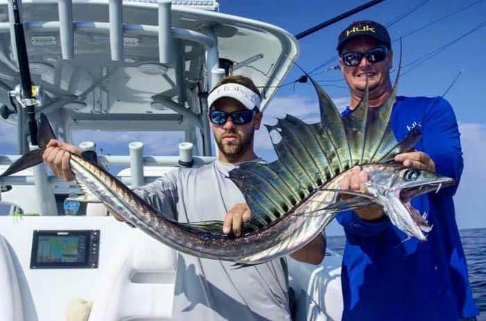 Alepisaurus (Lancetfish) – rodzaj morskich ryb skrzelokształtnych z rodziny żaglonowatych (Alepisauridae)